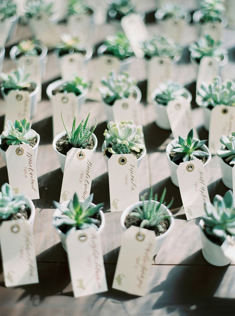 Lembrancinhas de casamento ecológicas