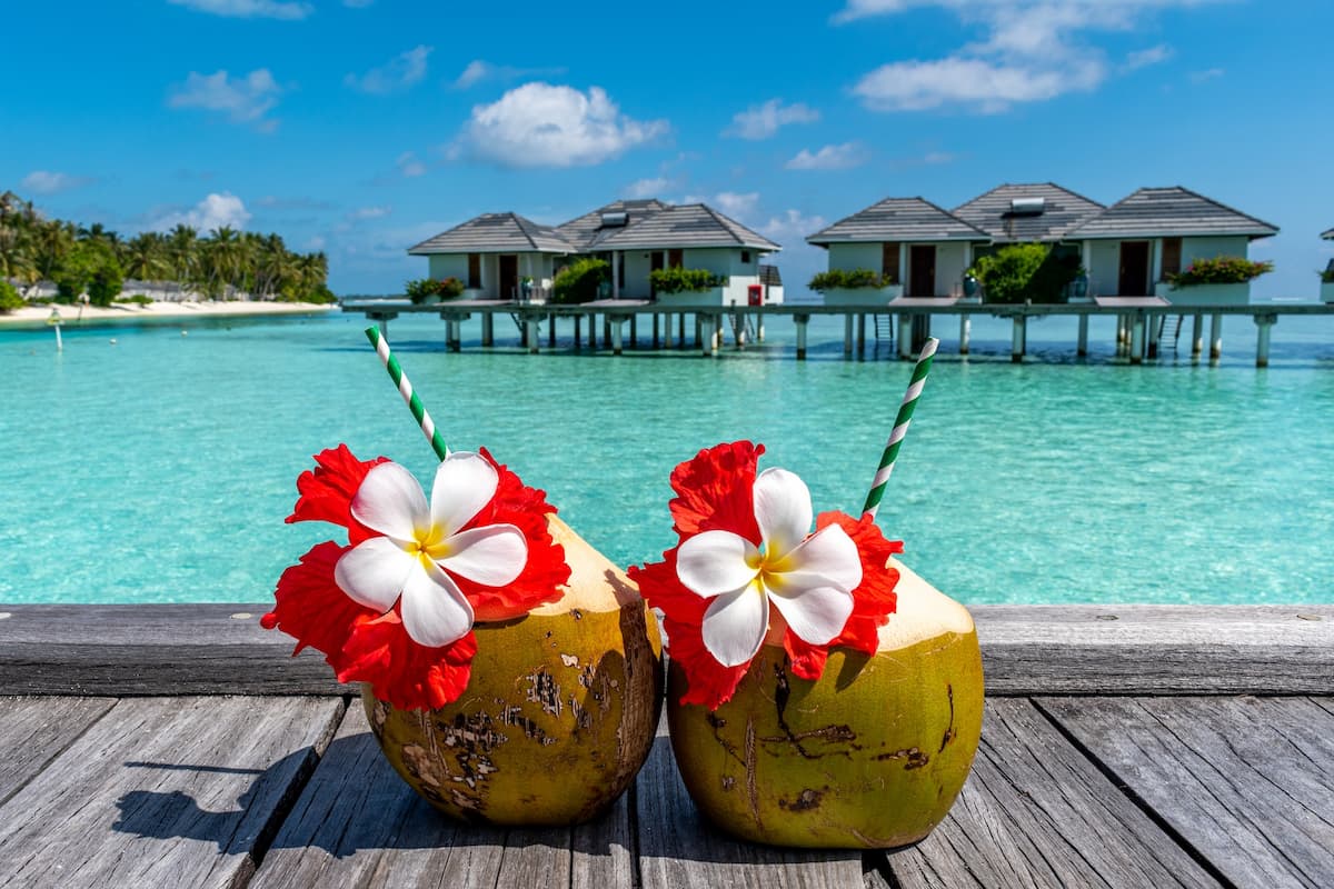 Imagem de dois cocos com flores vermelhas e brancas em cima sob a madeira em frente ao mar