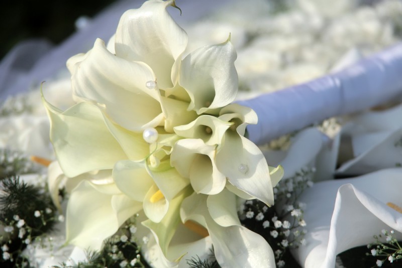 Decoração com Flores Copo de Leite - revista icasei (9)