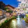Kyoto e as cerejeiras na primavera