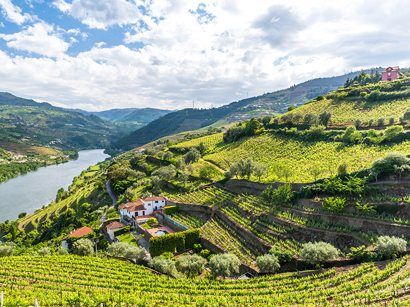 Destination wedding em Portugal Vale do Ouro