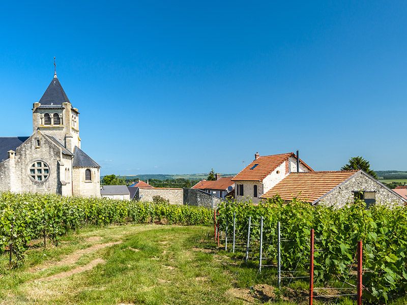 Destination wedding na Europa França Champagne