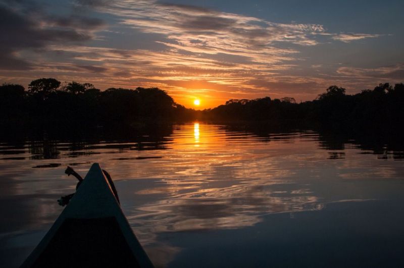 Lua de mel no Brasil: Pantanal