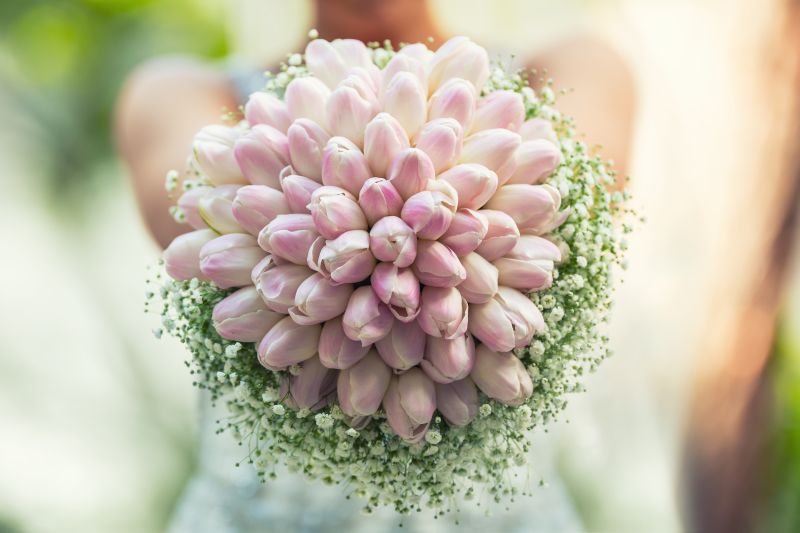 Buquê-de-tulipas-Shutterstock-7