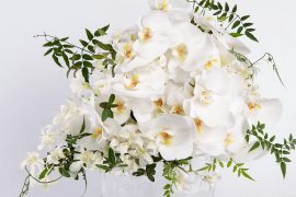 André Pedrotti lança ação #VAMOSFLORIR para evitar o desperdício de flores