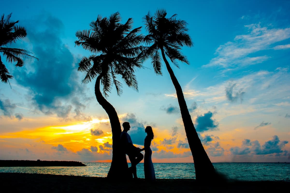 Casal apoiado no coqueiro na frente da praia no pôr do sol