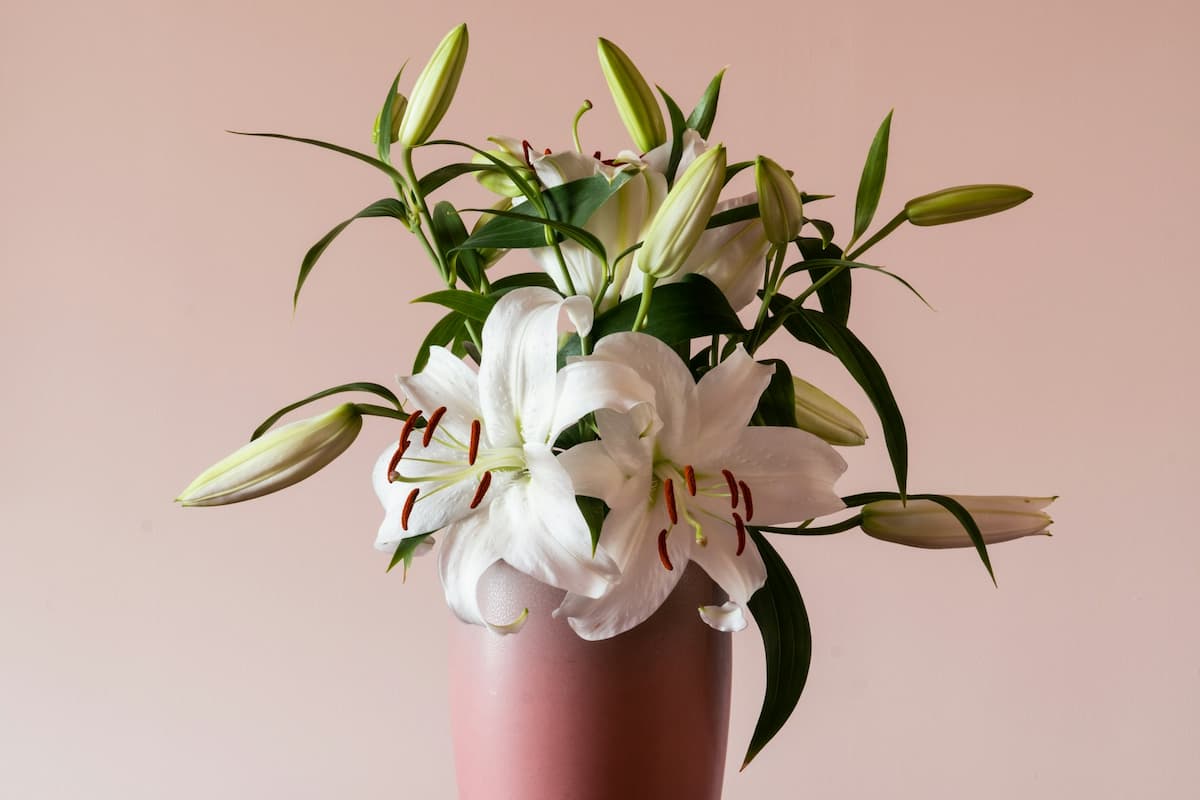 Imagem de um vaso de flores 