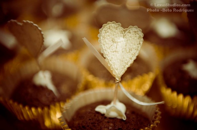 10473775_860275480650424_6087224728354447261_n