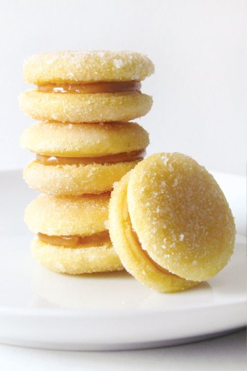 1d368501bcf7ef4fb2840c557b92c810