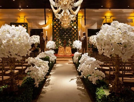 41976-andre-pedrotti-flores-2