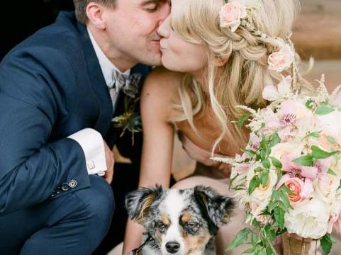 |||||||||||||||||||||||||||||||