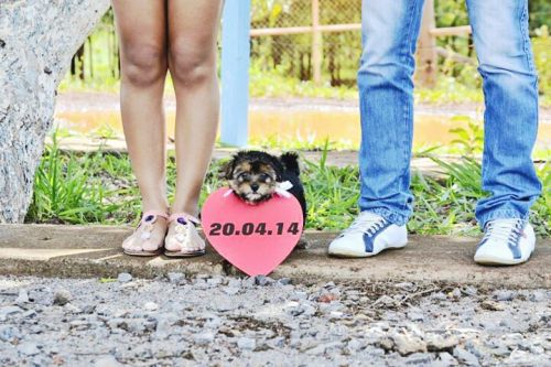 Save the date criativo