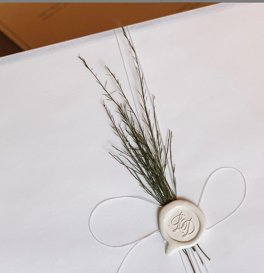 casamento daniel rocha e laíse leal