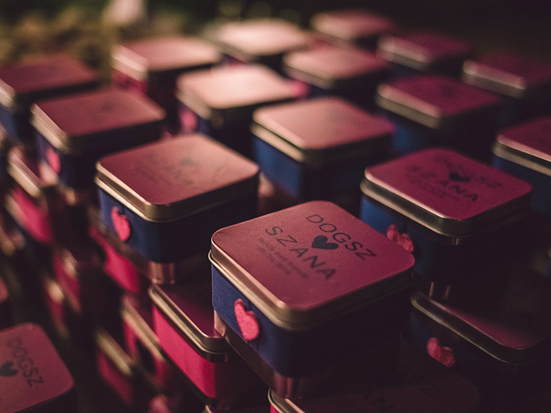 Casamento real Andrea e Alessandro