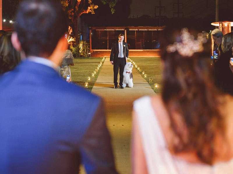 Casamento real Marina e Pedro cerimônia