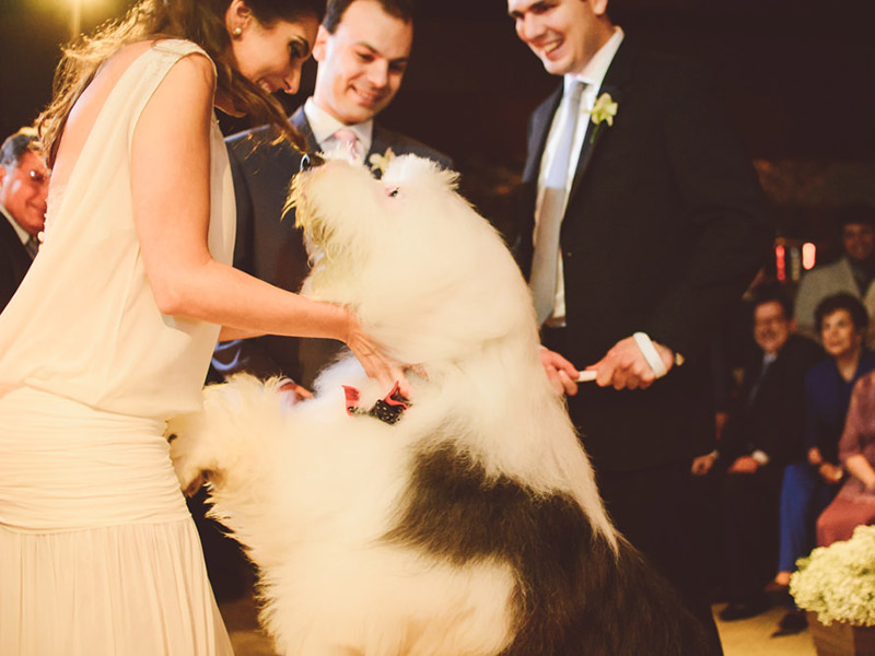 Casamento real Marina e Pedro cerimônia