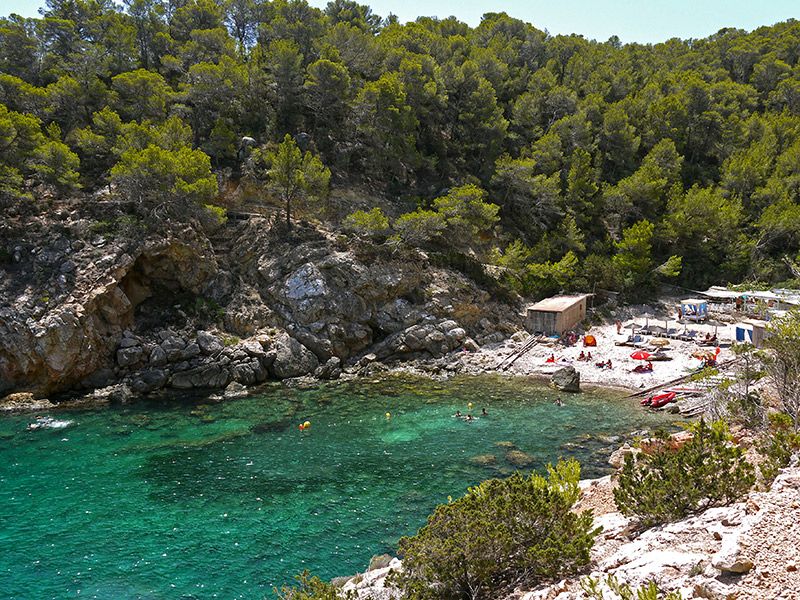 Ilha com águas verdes e cristalinas, rodeada de florestas e com algumas cabanas.