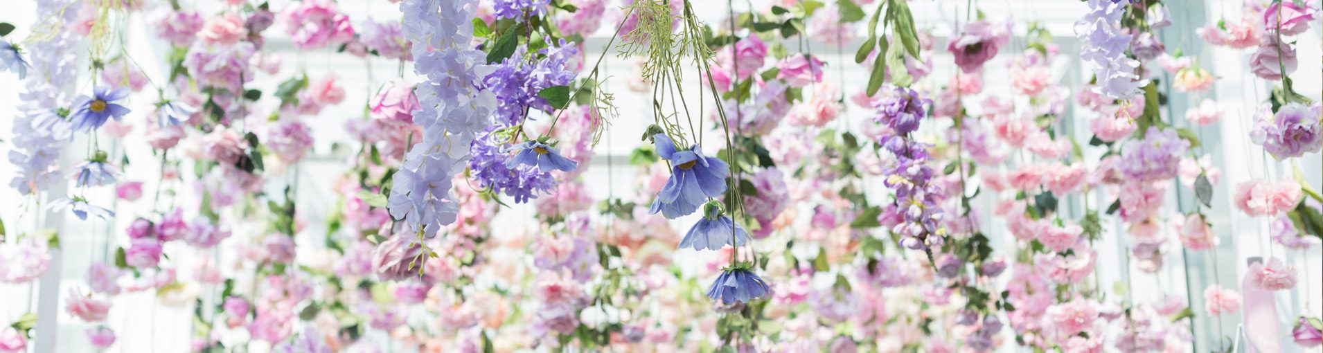 Flores suspensas para decorar|decoração de casamento com flores suspensas||decoração de casamento com flores suspensas|decoração de casamento com flores suspensas|decoração de casamento com flores suspensas||decoração de casamento com flores suspensas|decoração de casamento com flores suspensas|decoração de casamento com flores suspensas|decoração de casamento com flores suspensas|decoração de casamento com flores suspensas|Flores suspensas na decoração doc asamento|Flores suspensas na decoração do casamento|Flores suspensas na decoração do casamento|Flores suspensas na decoração do casamento|Flores suspensas na decoração do casamento||flores suspensas decoração de casamento|Flores suspensas para decorar