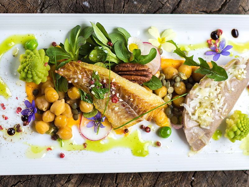 Ilha gastronômica Kosher|Ilha gastronômica Kosher|Ilha gastronômica Kosher|Ilha gastronômica Kosher o que se pode comer|Ilha gastronômica Kosher peixe e raízes|Ilha gastronômica Kosher buffet|Ilha gastronômica Kosher
