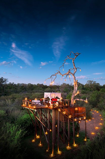 Lua de Mel em Hotéis Sobre Árvores - revista icasei (12)