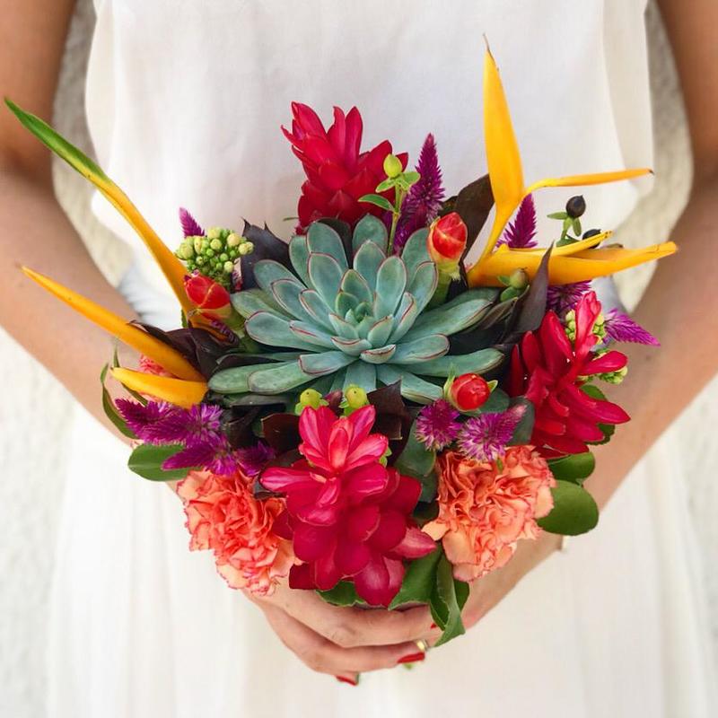 buquês de suculenta