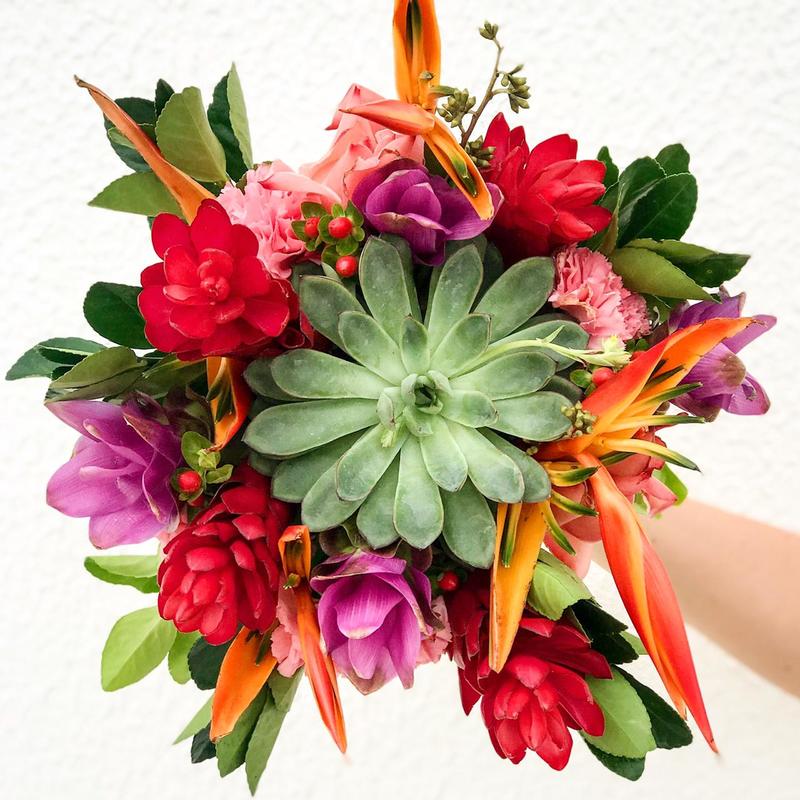 buquês de suculenta