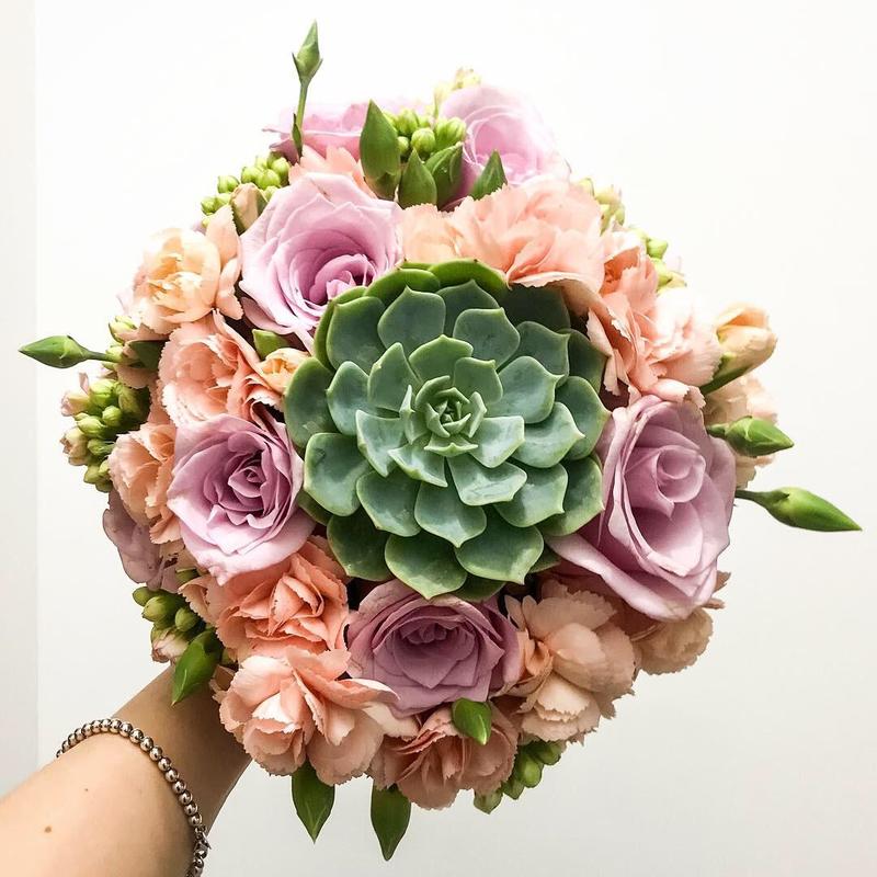 buquês de suculenta