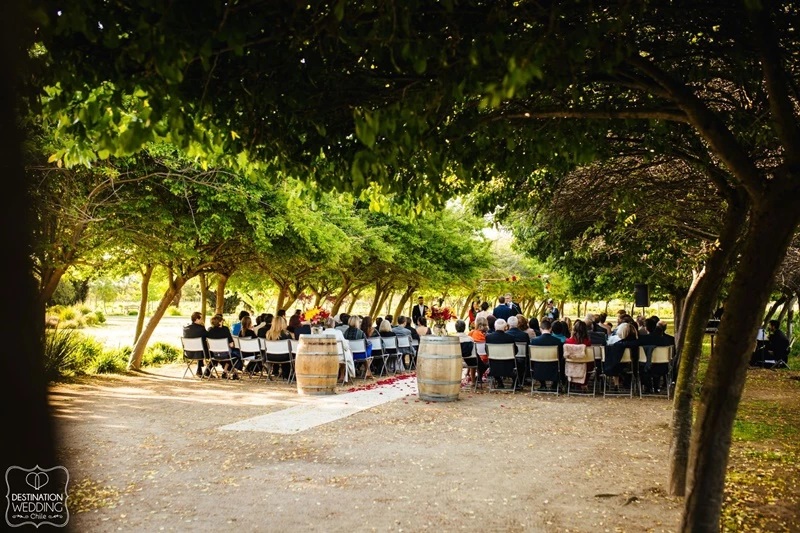 casamento em vinícolas do chile