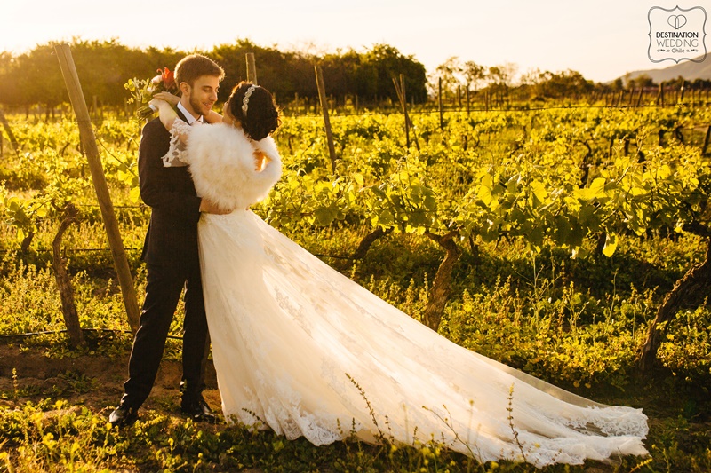casamento em vinícolas do chile