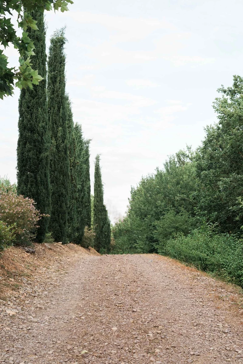 casamento em vinícolas da frança