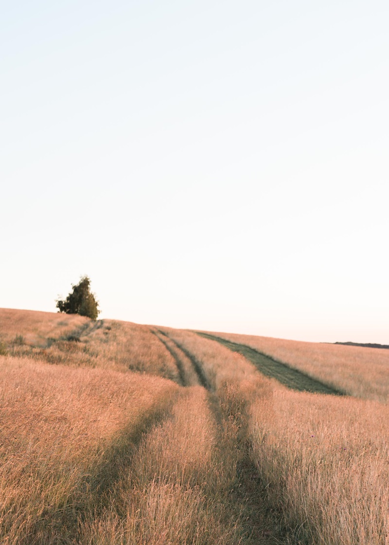 casamento em vinícolas da frança