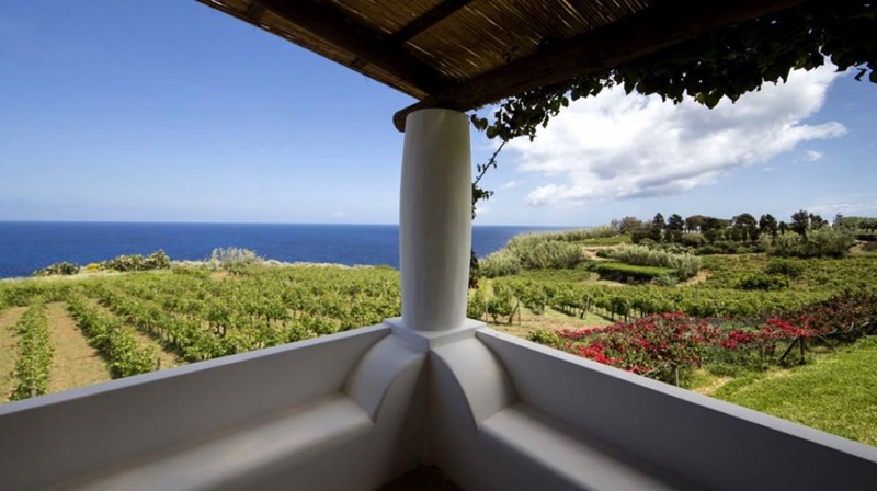 casamento em vinícolas da itália