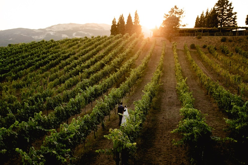 casamento em vinícolas de portugal