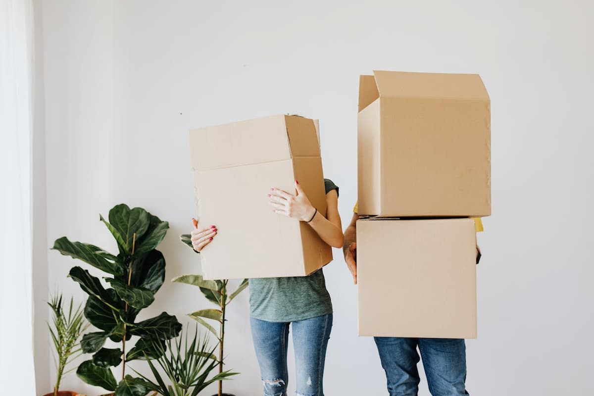 Imagem de duas pessoas segurando caixas de papelão do lado de uma planta|Imagem de uma pessoa com blusa azul segurando um presente com papel vermelho e laço branco|Imagem de uma pessoa com um presente com papel marrom|Imagem de caixas de presente com papel azul com uma flor ao lado