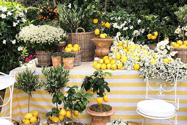 ||decoração de casamento|decoração de casamento|decoração de casamento|decoração de casamento|decoração de casamento|decoração de casamento|decoração de casamento|||||