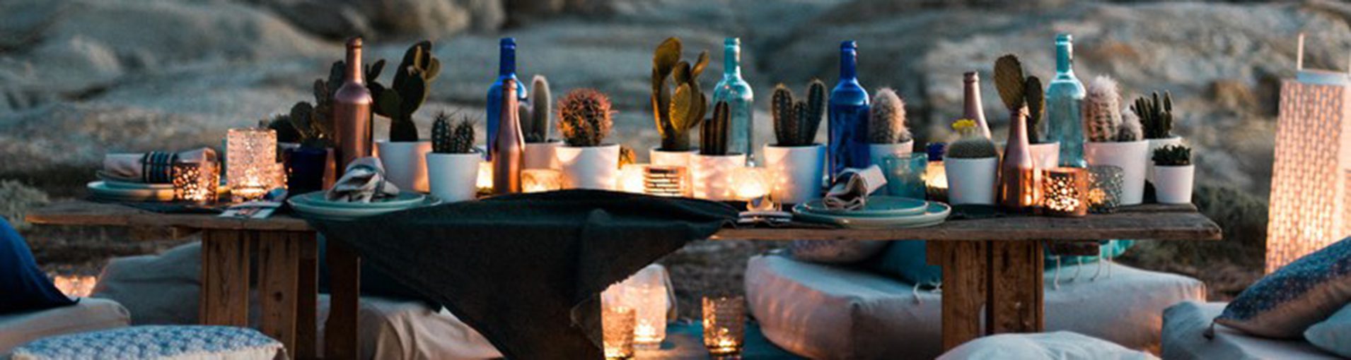 decoração de casamento com cactos|Decoração de casamento com cactos|Decoração de casamento com cactos|decoração de casamento com cactos|Decoração de casamento com cactos|Decoração de casamento com cactos||decoração de casamento com cactos|Decoração de casamento com cactos||Bolo de casamento com cactos||decoração de casamento com cactos|Decoração de casamento com cactos|||decoração de casamento com cactos|Decoração de casamento com cactos|Buquê de noiva com cactos||Decoração de casamento com cactos|Decoração de casamento com cactos|
