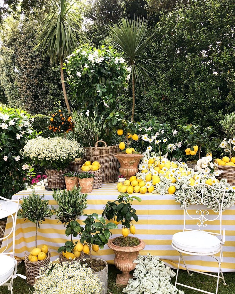 decoração de casamento