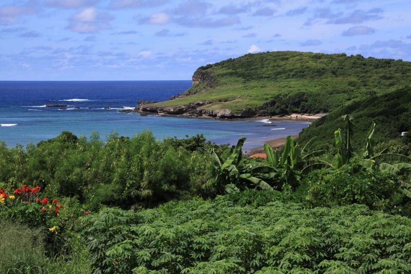 Taxa de preservação Fernando de Noronha