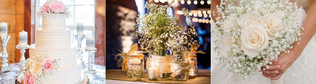 flor mosquitinho|||||||||flor mosquitinho|flor mosquitinho|flor mosquitinho|flor mosquitinho|flor mosquitinho|flor mosquitinho