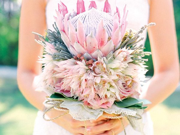 |proteas arranjos e buques de casamento||buque protea casamento||||protea buque casamento||||proteas casamento buque||buque casamento protea|arranjo casamento protea|||