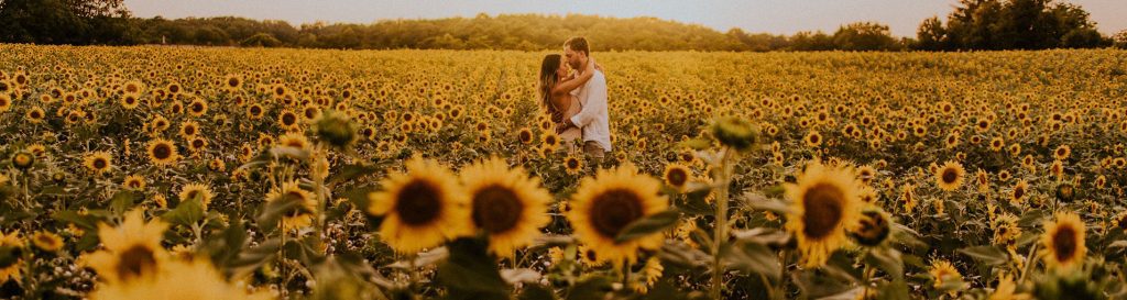 ||||||||||||||||||||||||||||||||||||||