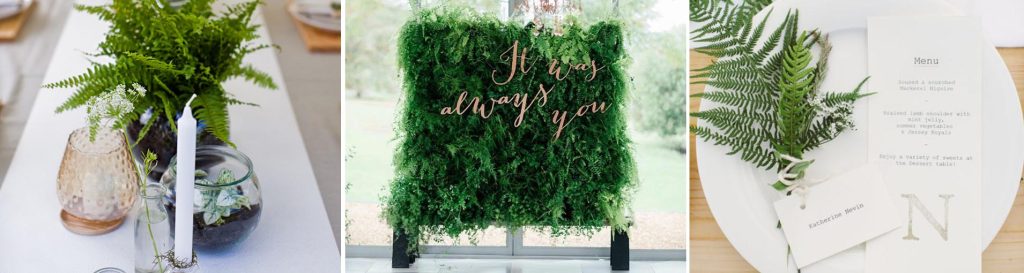 |Samambaia na decoração de casamento|Samambaia na decoração de casamento|Samambaia na decoração de casamento|Samambaia na decoração de casamento|Samambaia na decoração de casamento|Samambaia na decoração de casamento|Samambaia na decoração de casamento|Samambaia na decoração de casamento|Samambaia na decoração de casamento|Samambaia na decoração de casamento|Samambaia na decoração de casamento|Samambaia na decoração de casamento|Samambaia na decoração de casamento|Samambaia na decoração de casamento|Samambaia na decoração de casamento|Samambaia na decoração de casamento|Samambaia na decoração de casamento|Samambaia na decoração de casamento|Samambaia na decoração de casamento|Samambaia na decoração de casamento|Samambaia na decoração de casamento|Samambaia na decoração de casamento|Samambaia na decoração de casamento|Samambaia na decoração de casamento|Samambaia na decoração de casamento|Samambaia na decoração de casamento|Samambaia na decoração de casamento|Samambaia na decoração de casamento|Samambaia na decoração de casamento|Samambaia na decoração de casamento|Samambaia na decoração de casamento|Samambaia na decoração de casamento|Samambaia na decoração de casamento|Samambaia na decoração de casamento|