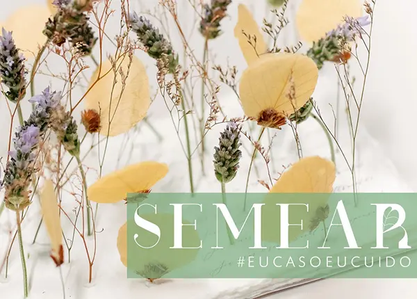 |||projeto semear|projeto semear
