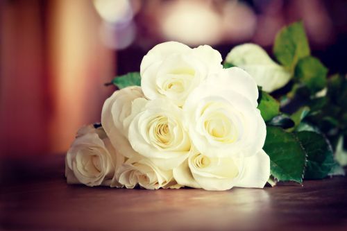 shutterstock_135637178
