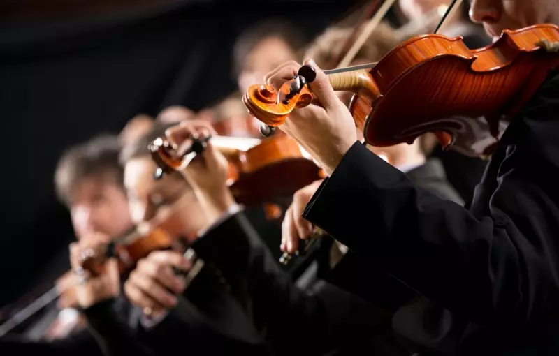 dicas de músicas para cerimônia de casamento