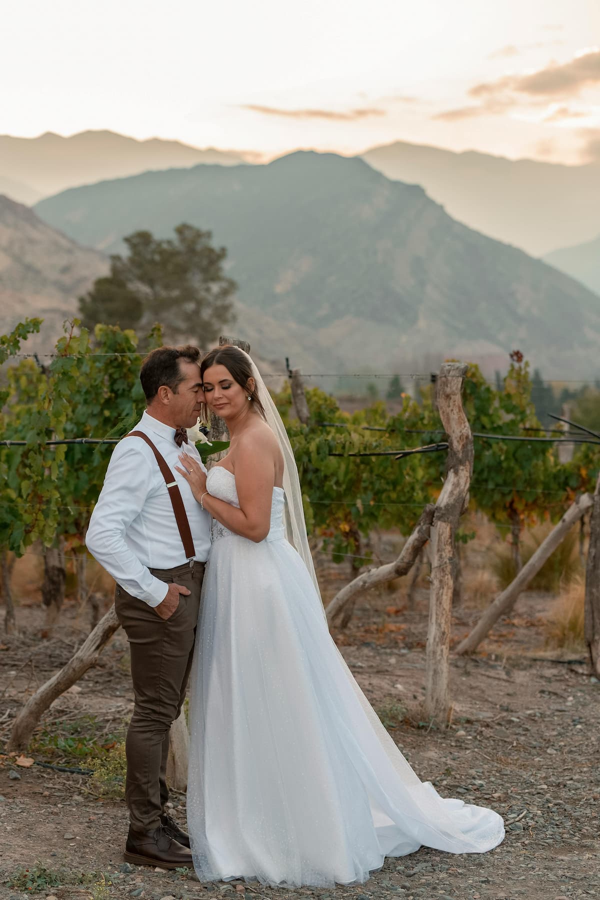 site de casamento na vinícola: noivos entre videiras