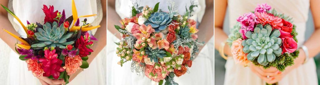 |buquês de suculenta|buquês de suculenta|buquês de suculenta|buquês de suculenta|buquês de suculenta|buquês de suculenta|buquês de suculenta|buquês de suculenta|buquês de suculenta|buquês de suculenta|buquês de suculenta|buquês de suculenta|buquês de suculenta|buquês de suculenta|buquês de suculenta|