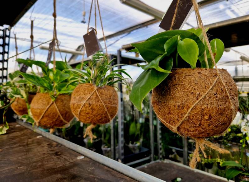 Tendências de decoração de casamento 2025 com ikebana e kokedama